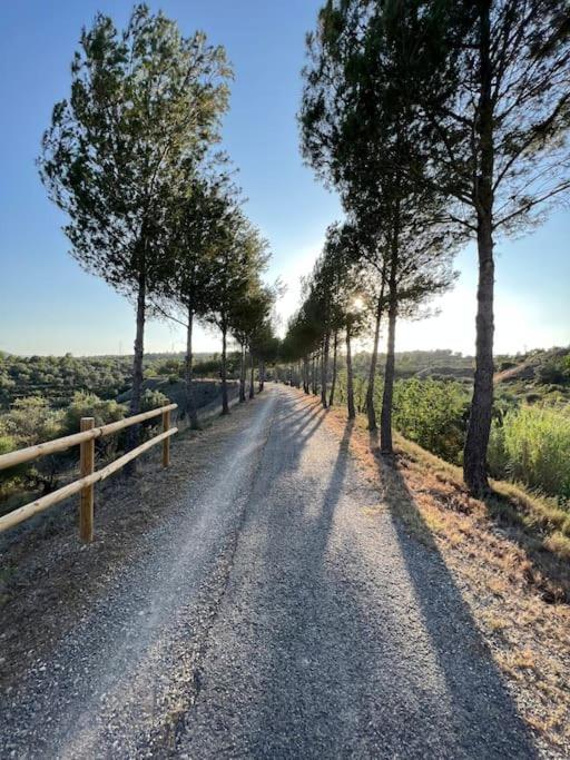 Apto. Rural Cielo. Al Lado Torre Jérica Eksteriør bilde